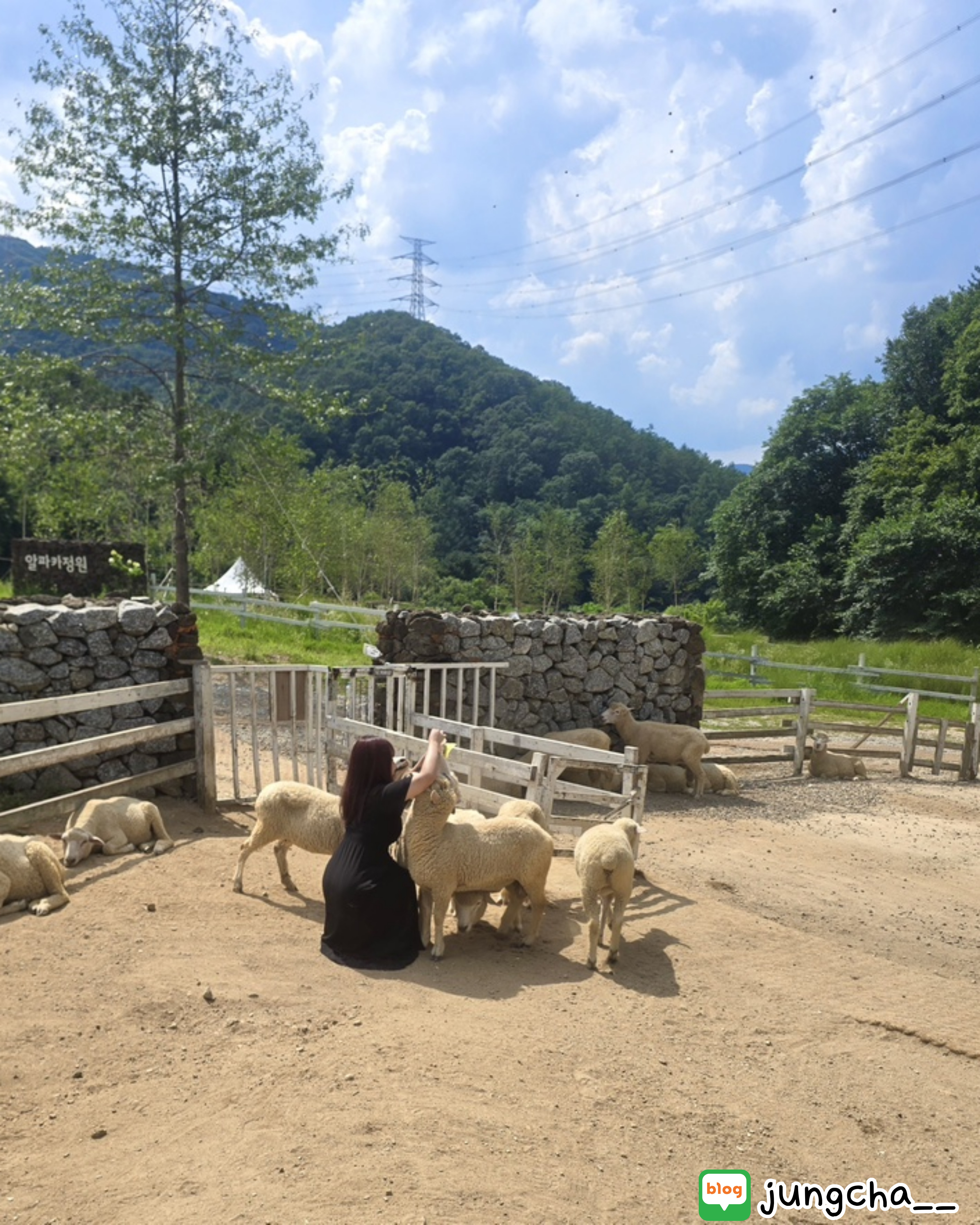 포토존이미지